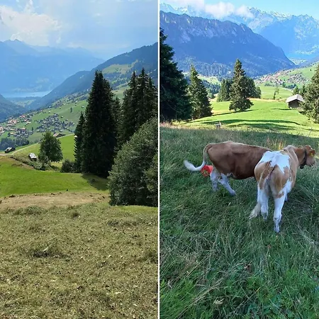 Apartament Wychelboden By Interhome