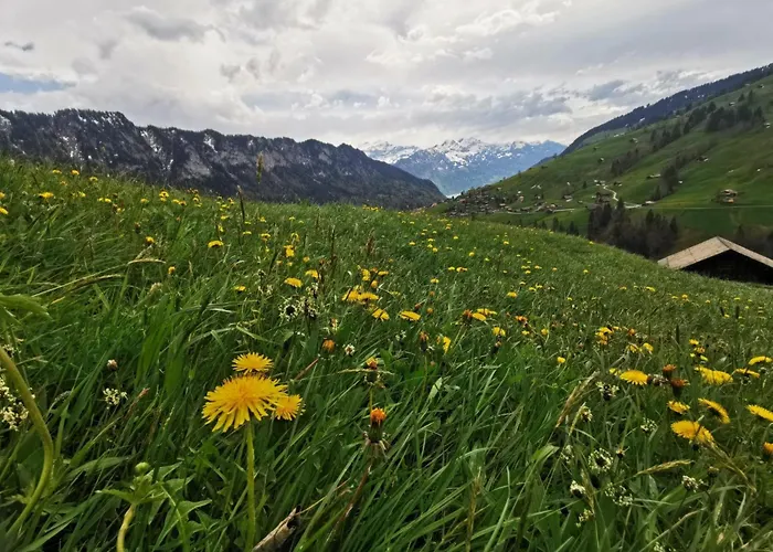 Wychelboden By Interhome Apartament *