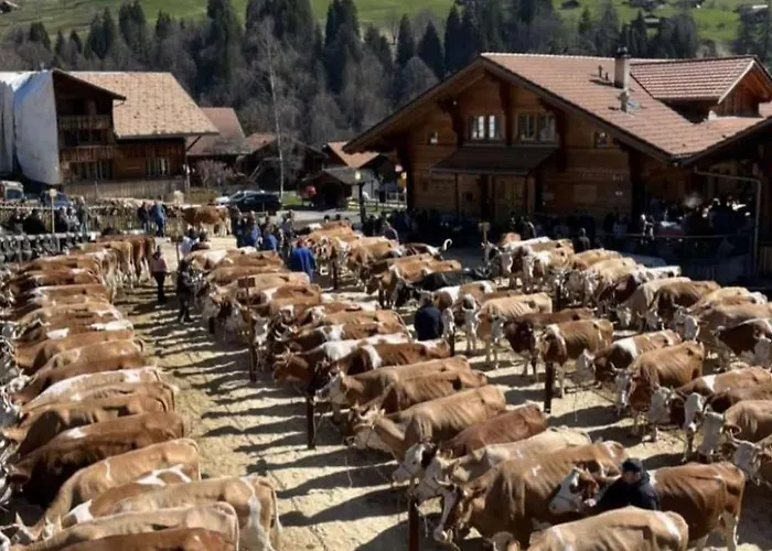 Wychelboden By Interhome Habkern