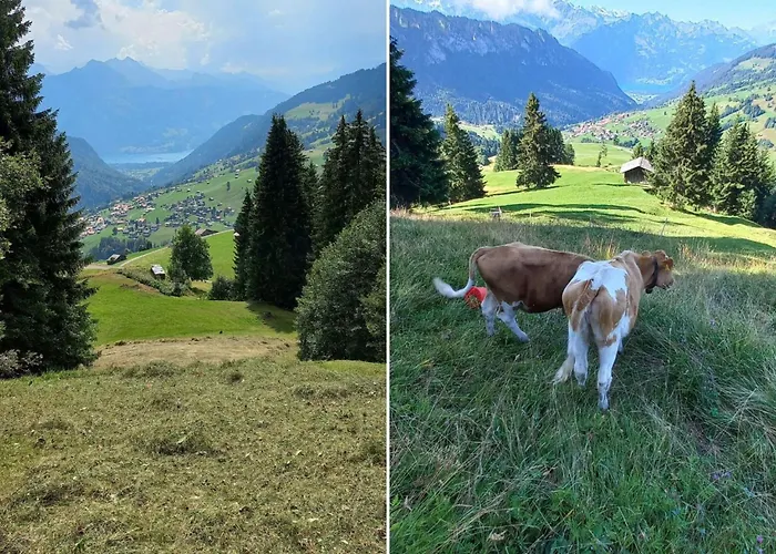 Apartament Wychelboden By Interhome