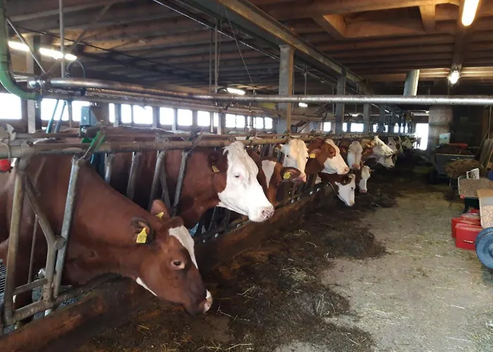 Wychelboden By Interhome Apartament Habkern