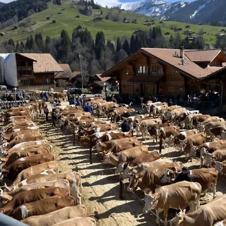 Wychelboden By Interhome Habkern