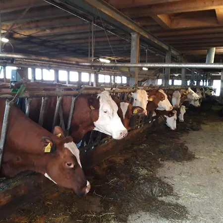 Wychelboden By Interhome Appartement Habkern